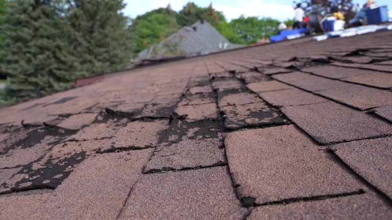 Best Roofing for New Construction  in Drain, OR